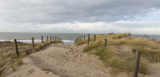 Písečné duny na pobřeží Severního moře u města Katwijk v nizozemské provincii Jižní Holandsko.