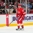 Hokejový útočník Jakub Vrána prožil emotivní návrat do NHL.