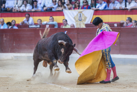 Španělské ministerstvo kultury se rozhodlo zrušit národní cenu býčích zápasů, to vyvolalo kritiku