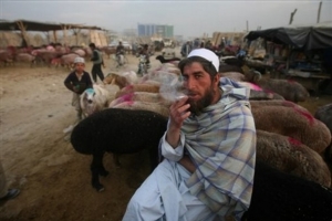 Afghánské kmeny se při špatném zacházení mohou obrátit proti USA.