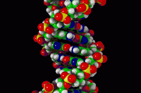 Model šroubovice DNA