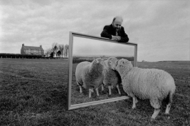 Ovce Dolly a její tvůrce, profesor Wilmut.