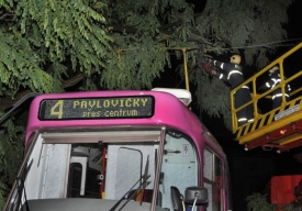 V noci při prudké bouřce spadl na tramvaj v Olomouci strom.