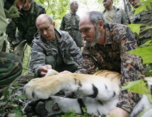 Putin skolil tygra. Ale jen uspávací pistolí.