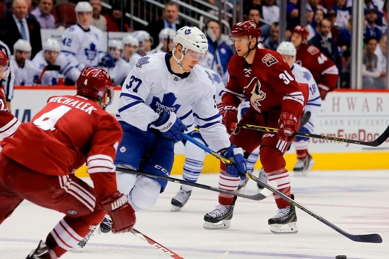 Trest na 20 zápasů dostal hokejový útočník Carter Ashton z Toronta Maple Leafs za užití zakázané látky.