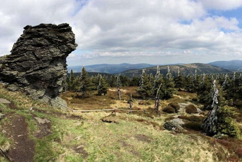 Přírodní dědictví na Vřesové studánce s výskytem kriticky ohrožených rostlin by bylo výstavbou chaty ohroženo.