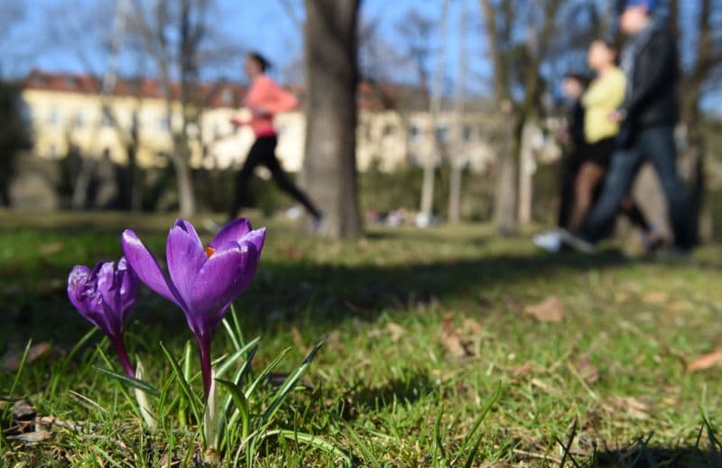 Bezručovy sady v Olomouci.