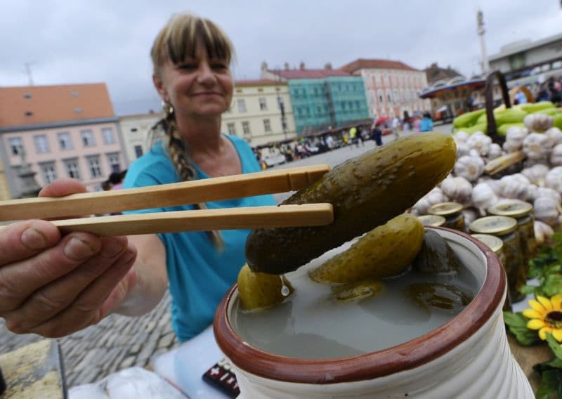 Ochutnávka rychlokvašek na Slavnostech okurek.