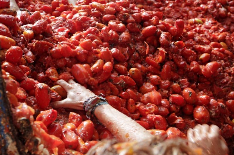 Ve Španělsku začala tradiční slavnost zvaná La Tomatina.