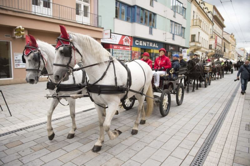 Průvod tvořily dvojspřeží, čtyřpřeží i řada jezdců na koních.