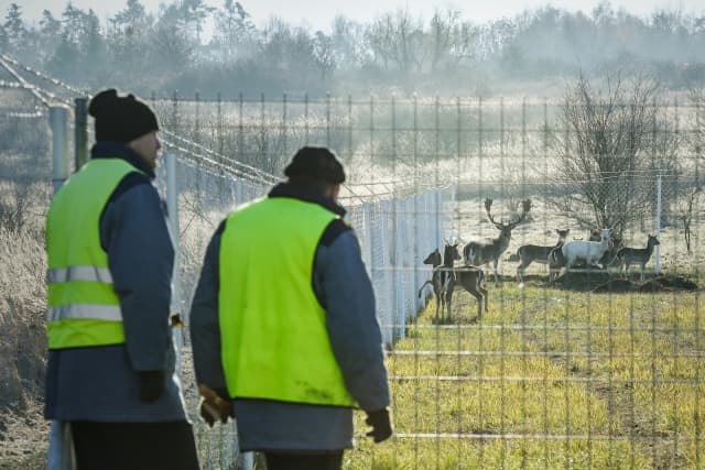 Prozatím se o zvířata a zeleň stará pětice vězňů.