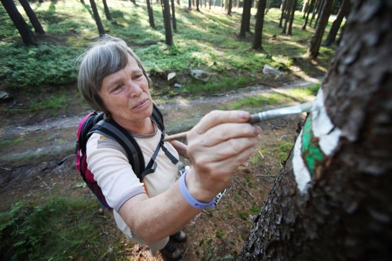 Pěší stezky značil letos v Brdech Klub českých turistů.