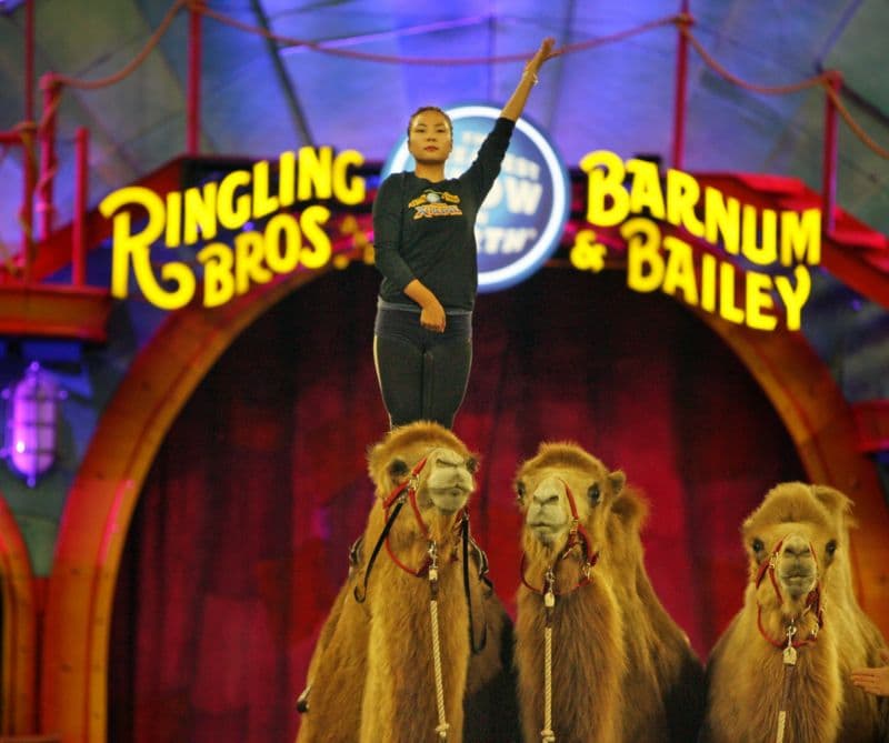 Ringling Bros.