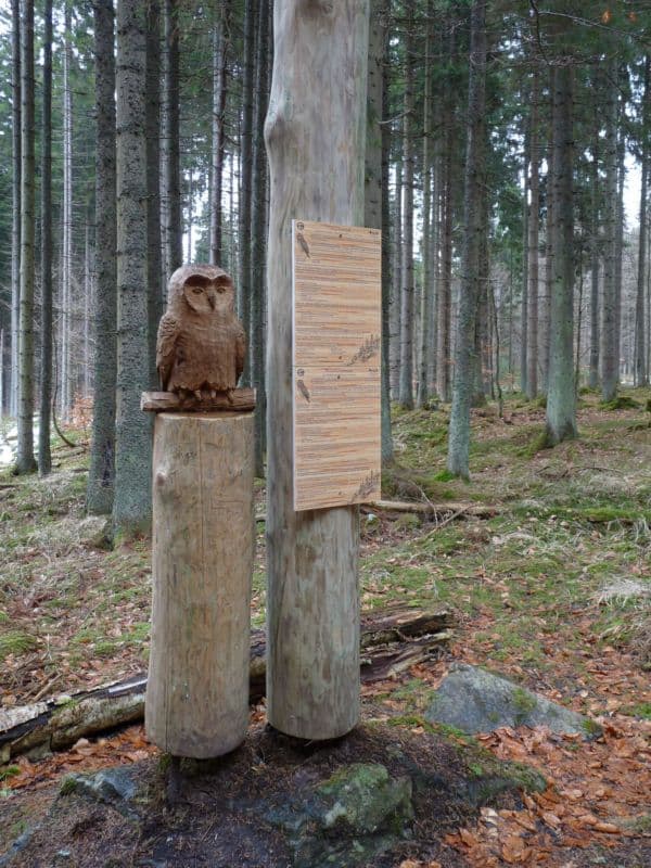 Na snímku areál lesních her u obce Stožec na Prachaticku.