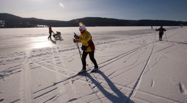 Milovníci extrémních sportů by si neměli nechat ujít akci s názvem Lipno Ice Marathon.