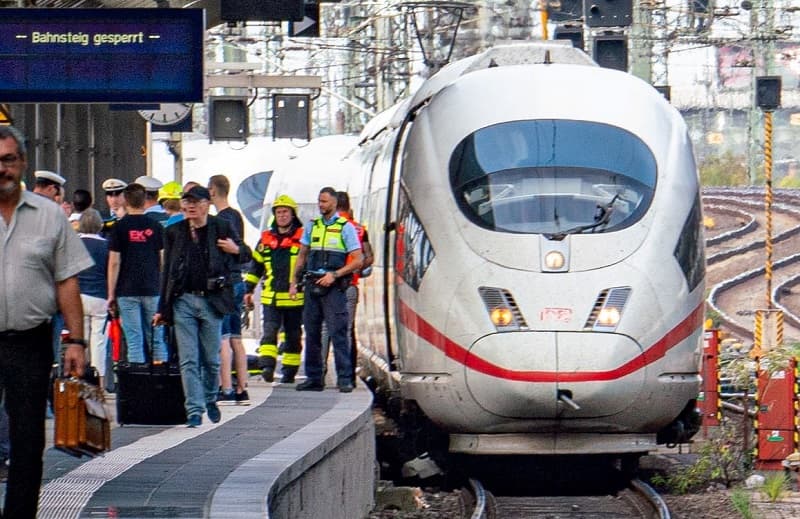 Čtyřicetiletý Eritrejec své oběti neznal, dítě na následky srážky zemřelo.