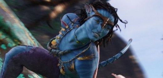 Avatar se letos stal pirátskou "modlou".