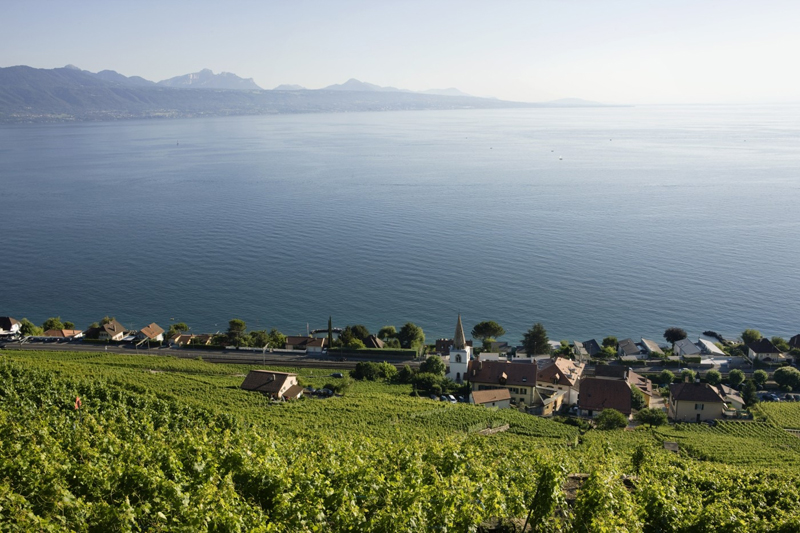 Vinice Lavaux u Ženevského jezera ve Švýcarsku pocházejí z 11. století, rozkládají se na ploše 2050 akrů a jsou zapsány na Seznamu světového dědictví UNESCO. Dopřejte si výlet do kraje vynikajícího vína. (Foto: profimedia.cz)