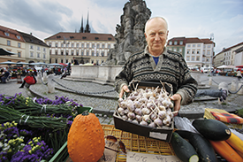 Česnekomanie na vrcholu.