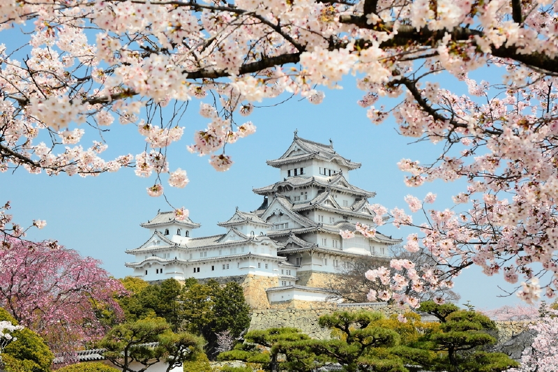 Hrad Himedži, Japonsko. (41 468 m2)  (Foto: Shutterstock.com)