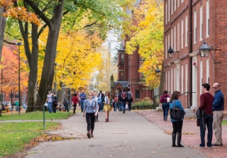 Harvard Yard, Cambridge.