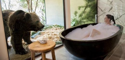 Medvěd v koupelně, žirafa v kuchyni či lev v jídelně: jedinečný hotel v australské zoo láká na netradiční zážitky.