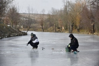 Rybáři se snaží ulovit pstruhy a jesetery.