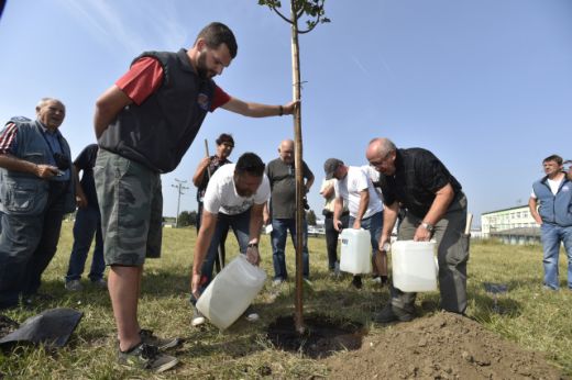 Piloti vysadili lípu v Kunovicích na připomínku československého letectví.