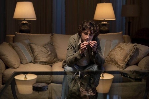 Talentovaný herec Timothée Chalamet jako drogově závislý teenager ve filmu Beautiful Boy.