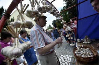 Festival česneku v Buchlovicích.