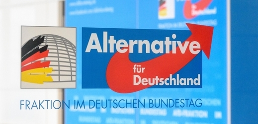 Alternativa pro Německo (AfD).