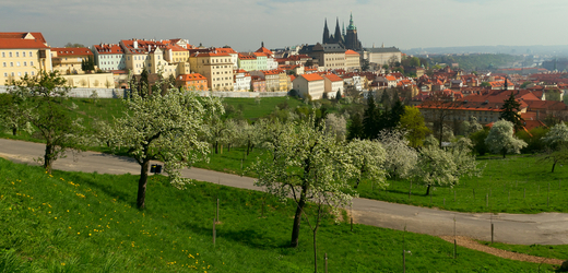 Pohled na Pražský hrad.