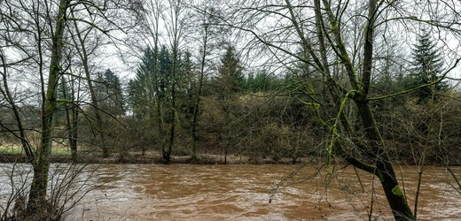 V části Česka může mokrý sníh lámat větve a stromy, varují meteorologové 