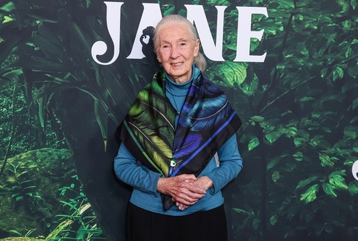 Jane Goodallová.