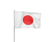 Japonský nejvyšší soud nařídil vládě odškodnit oběti nucených sterilizací