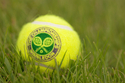 Úřadující šampion Alcaraz a světová jednička Sinner postoupili ve Wimbledonu do čtvrtfinále