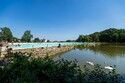 Teplé počasí neprospělo kvalitě vody v některých rybnících v Česku