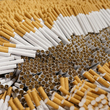 Čeští celníci za 20 let odhalili 47 nelegálních továren na tabákové výrobky