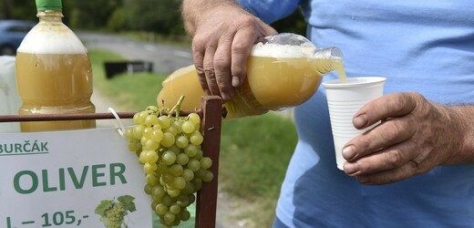 Vinaři v Česku mohou od dnešního dne začít prodávat burčák
