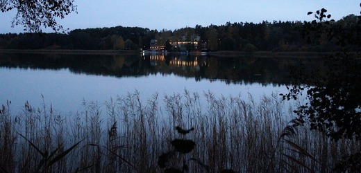 Máchovo jezero u Doks není vhodné ke koupání, kvalitu vody zhoršily sinice