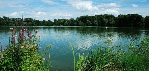 Kvůli špatné vodě hygienici zakázali koupání v jezeru Ostrá a nádrži u Letovic