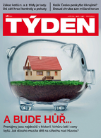 Týden