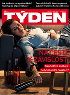 Týden