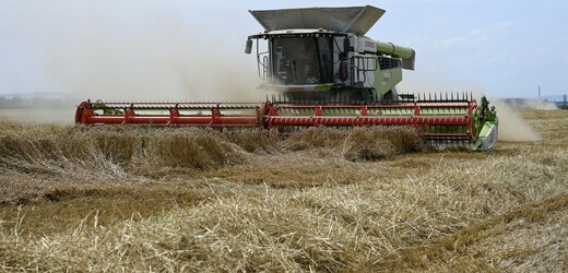 ČSÚ: Úroda obilovin letos meziročně klesla, více je kukuřice, brambor či řepy