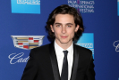 Timothée Chalamet měl těžký začátek kariéry. Co mu vytýkali? 