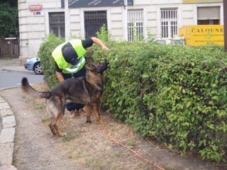 Okolí místa činu ohledávali policisté se psy.