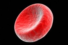 Ilustrační foto - červená krvinka