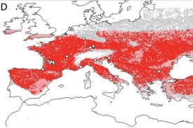 Jih Pyrenejského poloostrova byl pro naše předky dlouho neobyvatelný.