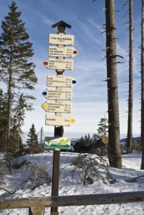 Na Šumavě je až 500 kilometrů běžeckých stop.