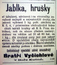 Listopad 1907, reklama